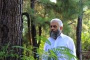 ادامه تولید سریال 