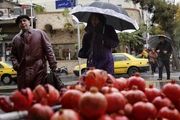 تصاویری زیبا از بارش باران پاییزی در تهران/ گزاش تصویری