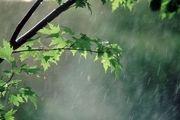 ورود سامانه بارشی از غرب /آماده بارندگی باشید