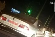 
سگ گردانی دلیل برکناری یک مدیر دولتی+عکس
