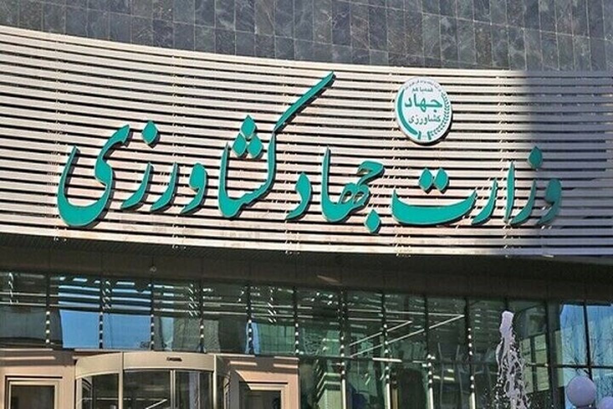 لوبیا چیتی هم قیمت گوشت شد