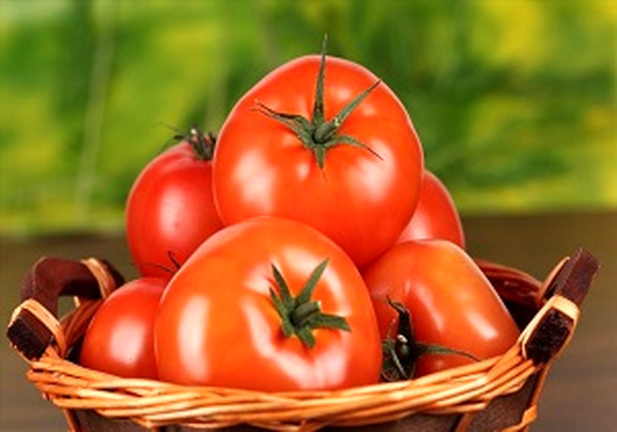 وعده ارزانی گوجه فرنگی