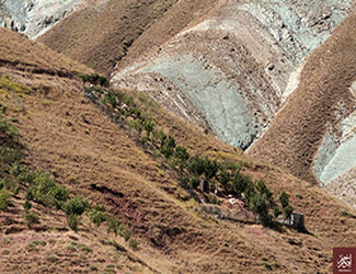 n00438084-r-b-018