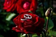 نوعروسان مراقب باشند