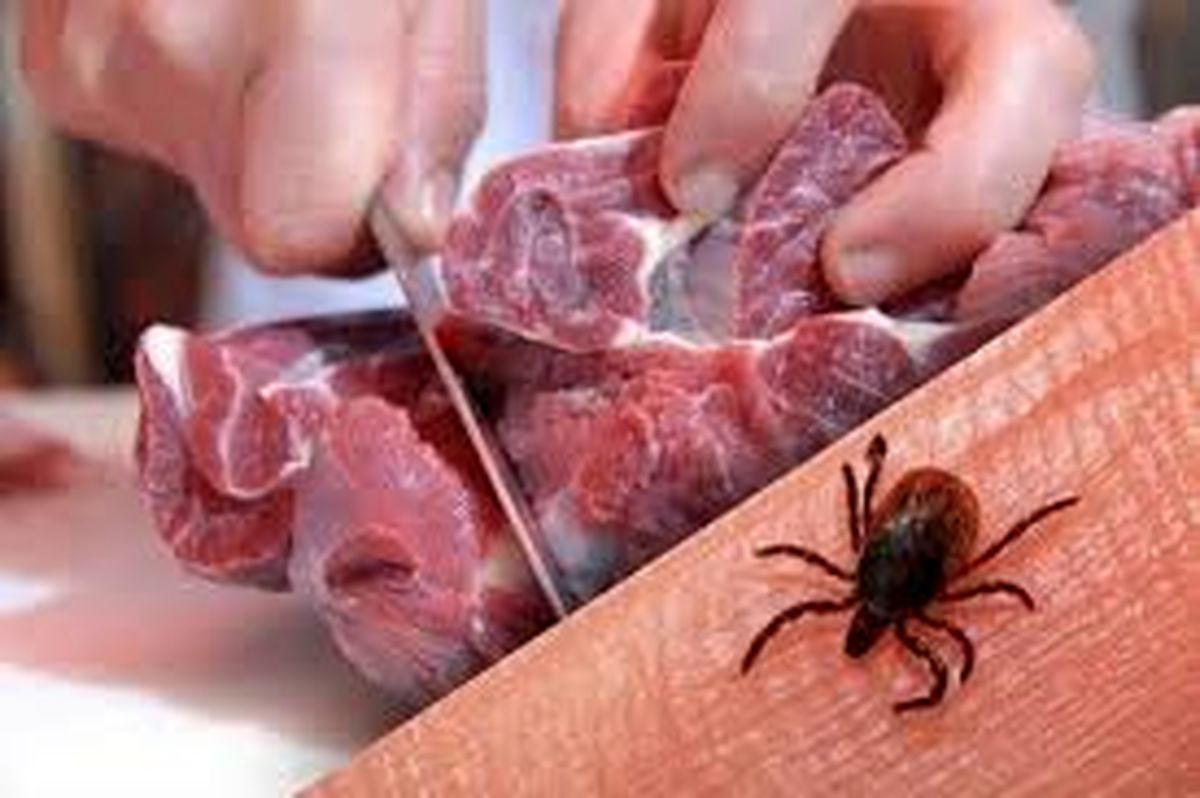 درباره بیماری تب کریمه کنگو چه می‌دانیم؟
