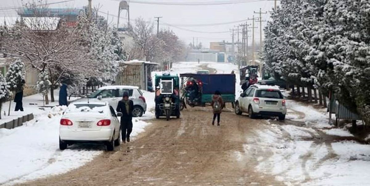 یخبندان بی‌سابقه جان 22 نفر را گرفت 
