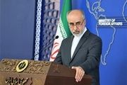 واکنش کنعانی به تعداد شهدای غزه
