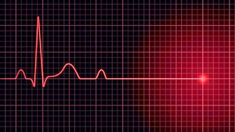 هالک قلابی درگذشت! +عکس