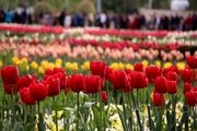 جشنواره لاله ها در بوستان شهید چمران کرج