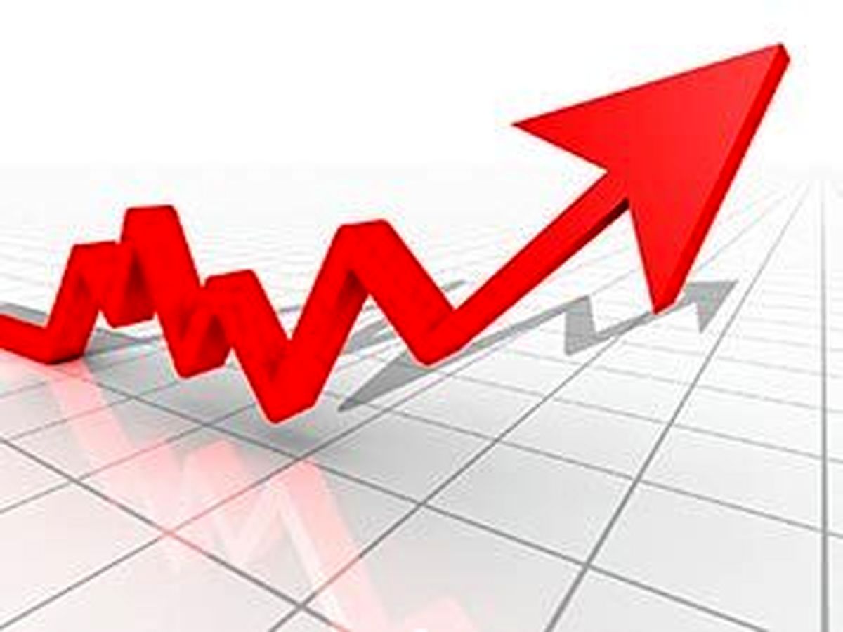 دولت نظاره‌گر گرانی‌هاست، ناظر نیست