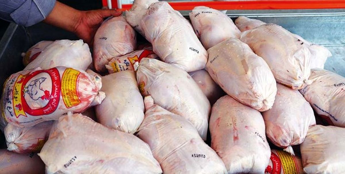آغاز عرضه گسترده گوشت مرغ در سراسر کشور