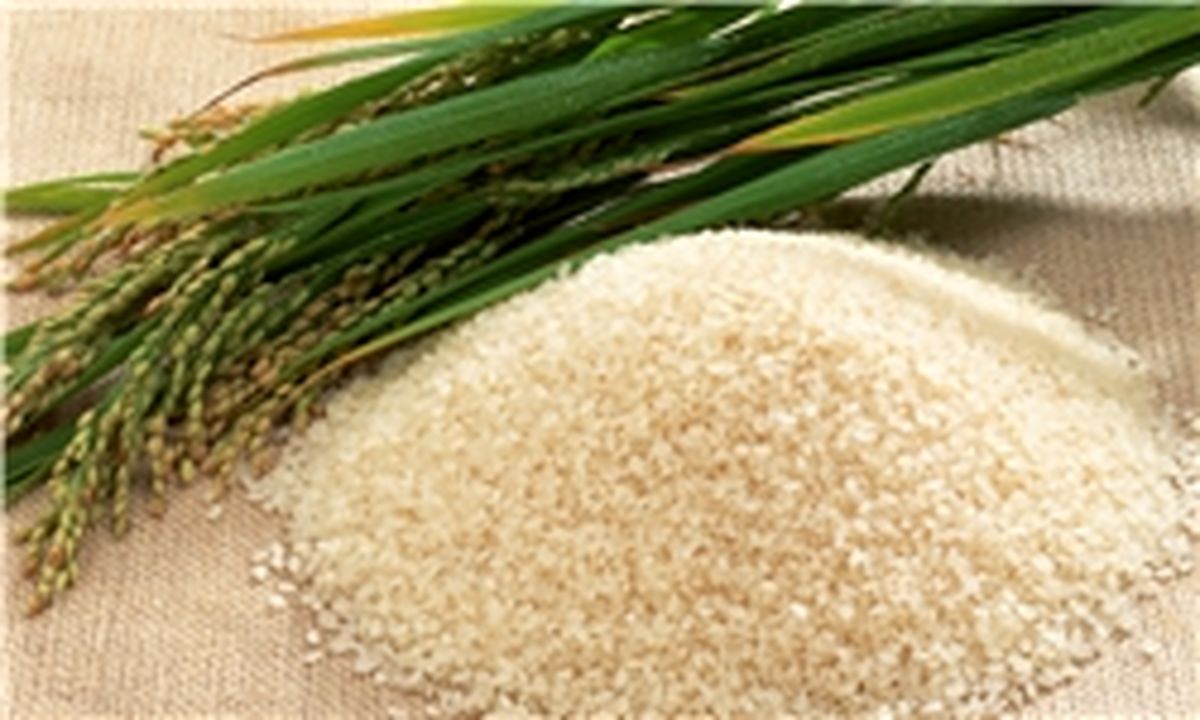 چین صاحب زیباترین مزارع برنج رنگی در جهان