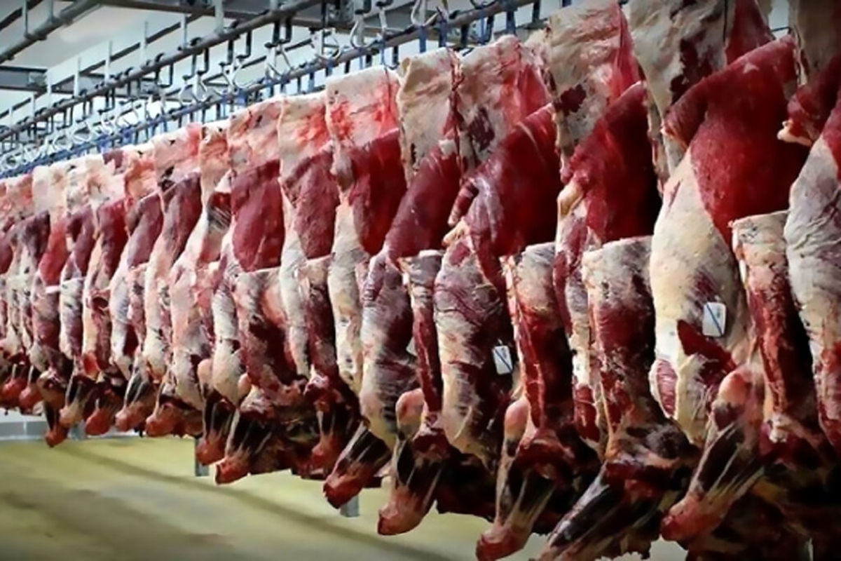 گوشت ارزان می‌شود؟/ هشدار اتحادیه دام سبک درباره بازار گوشت سال آینده