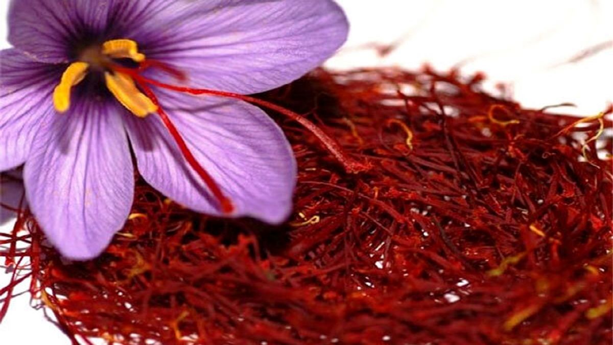زعفران را چند بخریم؟
