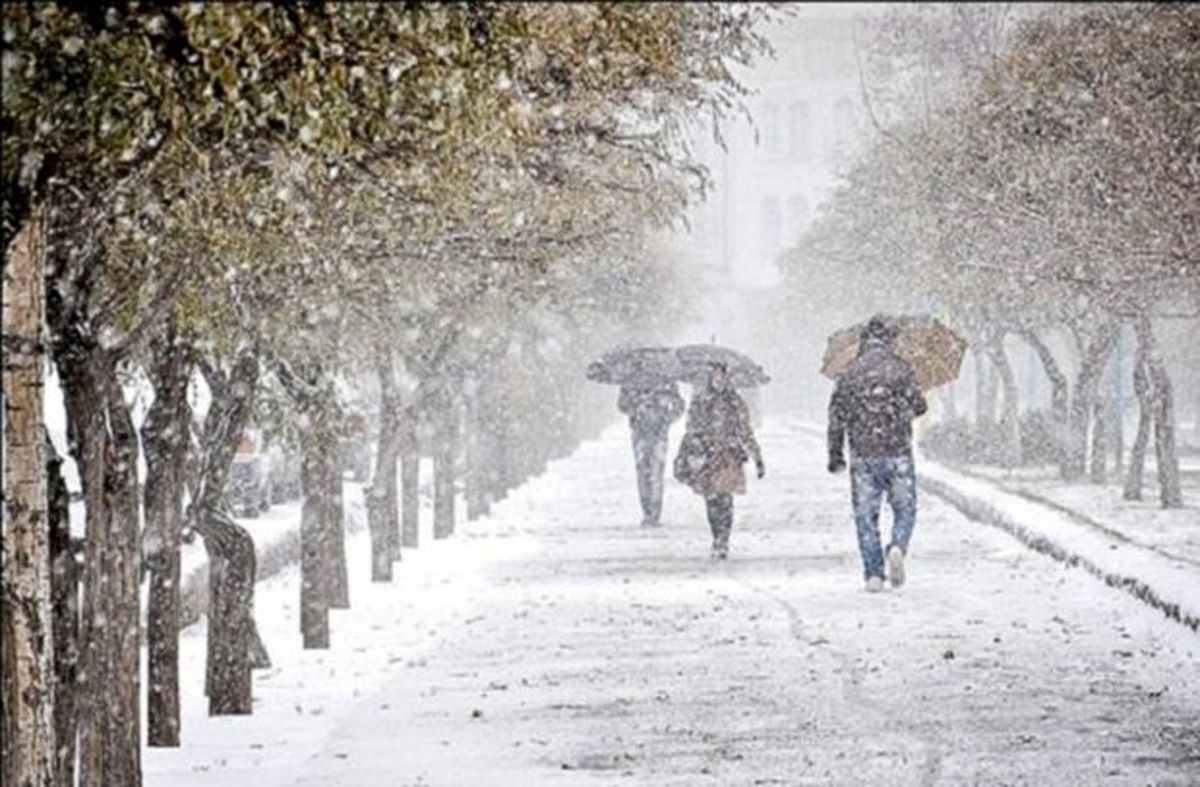 آغاز بارش شدید برف در برج میلاد تهران | ببینید