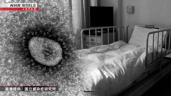 آمار جهانی کرونا؛ فوت بیش از ۶.۵ میلیون بیمار تاکنون
