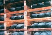 کشف کارخانه بزرگ سلاح های شیمیایی داعش در مرکز عراق