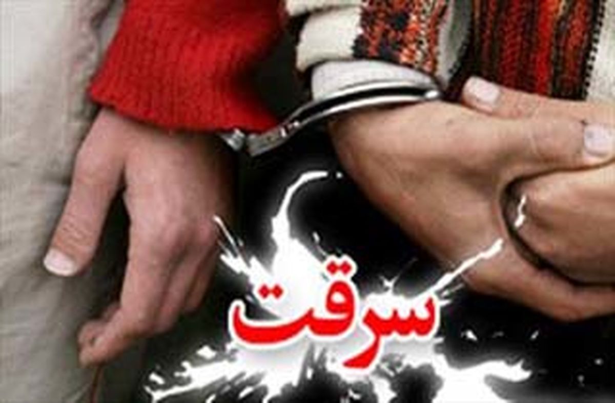 سرقت مردان نقابدار در کمتر از ۲۰ دقیقه