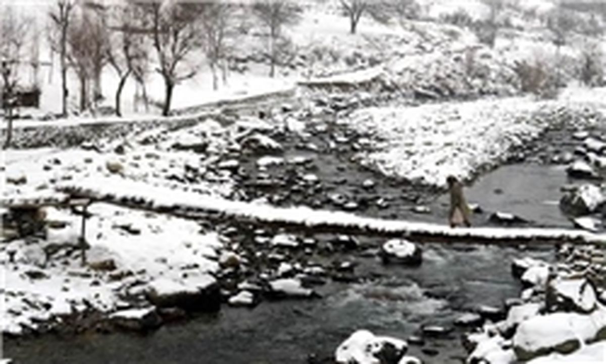 زندگی کردن در مناطق سرد مضر است