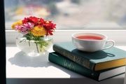 اگر اهل مطالعه هستید هرگز خواندن این 3 شاهکار ادبی (عاشقانه) را فراموش نکنید
