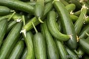 هیچ سیاست حمایتی از تولید وجود ندارد