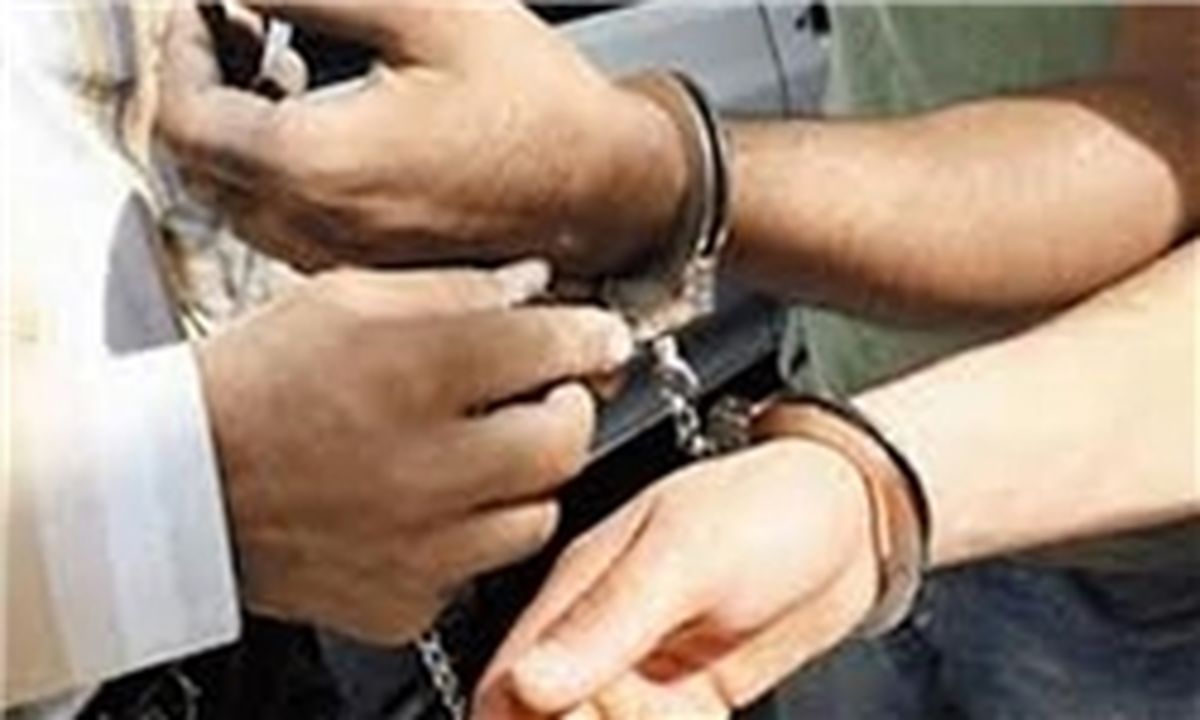 دام استاد دانشگاه برای ۵۰۰ دختر

