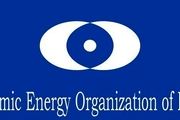واکنش سازمان انرژی اتمی به بیانیه تروئیکای اروپا