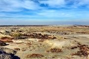 سایت پرورش میگو و کانالی که آخرین جرعه‌های تالاب گمیشان را می‌مکد!