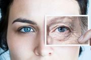 شناسایی فناوری جدید برای به تعویق انداختن پیری
