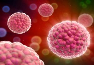 بهترین و بدترین تغذیه دوران قاعدگی چیست؟