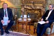 اتفاق نظراولیانوف با اظهارات «علی باقری»