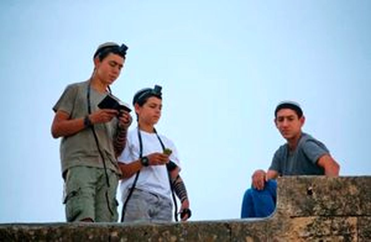 شهرک‌نشین صهیونیست 4 کودک فلسطینی را زیر گرفت