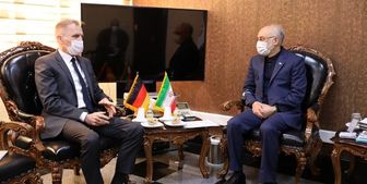 دیدار سفیر آلمان در تهران با صالحی