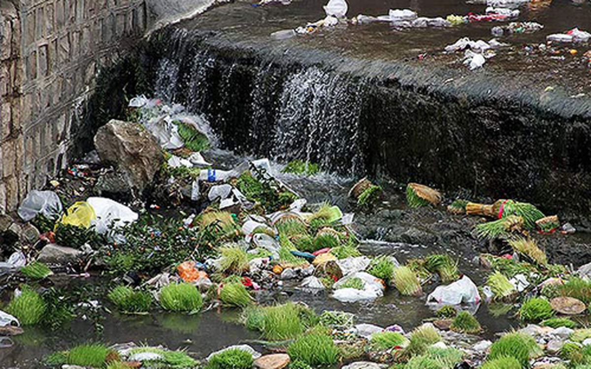 حفاظت از محیط زیست در آیات و روایات