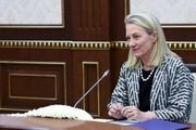 دیدار وزیر کشور پاکستان با «آلیس ولز»؛ اوضاع منطقه محور رایزنی