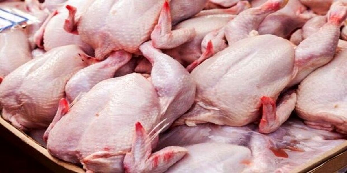 آرامش در بازار گوشت مرغ 