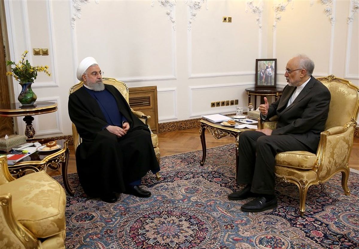 دیدار رئیس سازمان انرژی اتمی با روحانی