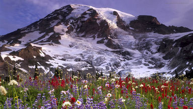n00090477-r-b-013