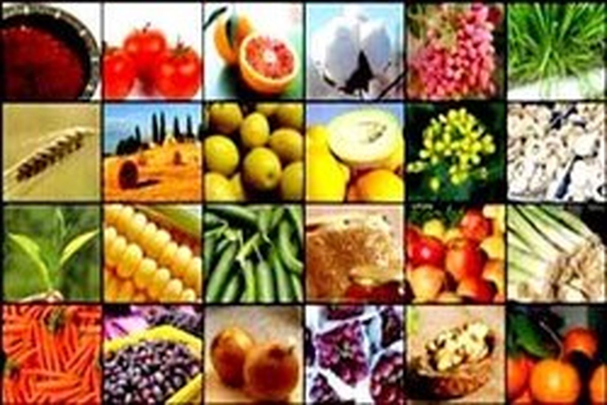 وعده مسوولان وزارت جهاد تحقق می‌یابد؟