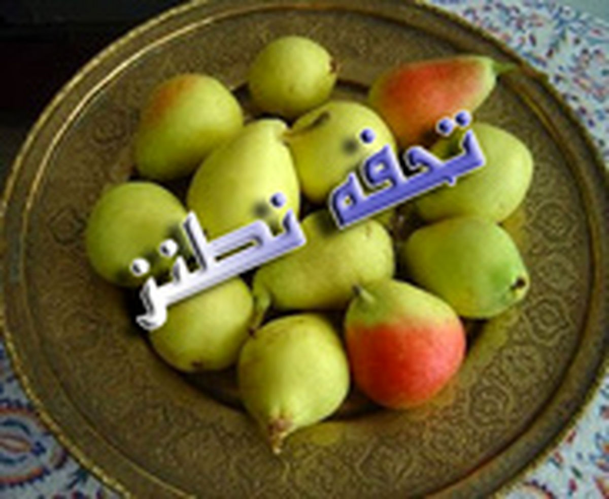 سوغاتی که ضرب‌المثل شد