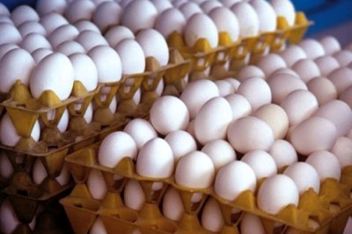 قیمت انواع تخم مرغ در بازار
