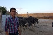 اقتصاد مقاومتی به سبک خانوادگی