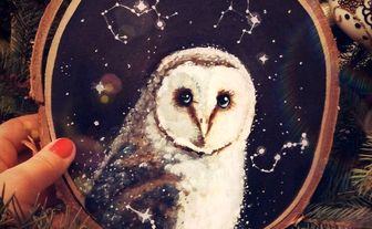 آیا جغدها واقعا شوم هستند؟ + فیلم