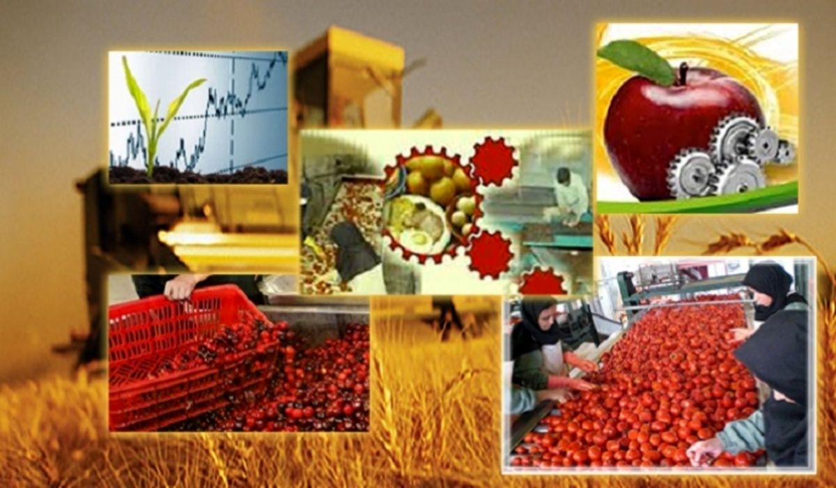 نقش روستا‌ها در افزایش رونق تولید کشور