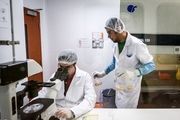رشد بودجه «صندوق حمایت از پژوهشگران و فناوران کشور»