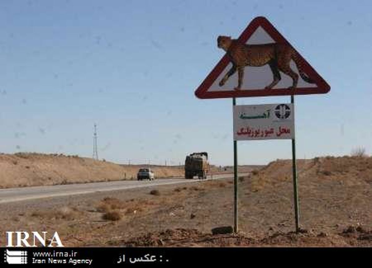  شناسایی 150 نقطه حادثه خیز برای وحوش در خراسان رضوی