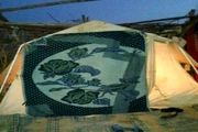 زندگی در چادر پاداش خانواده چوپان 66 ساله