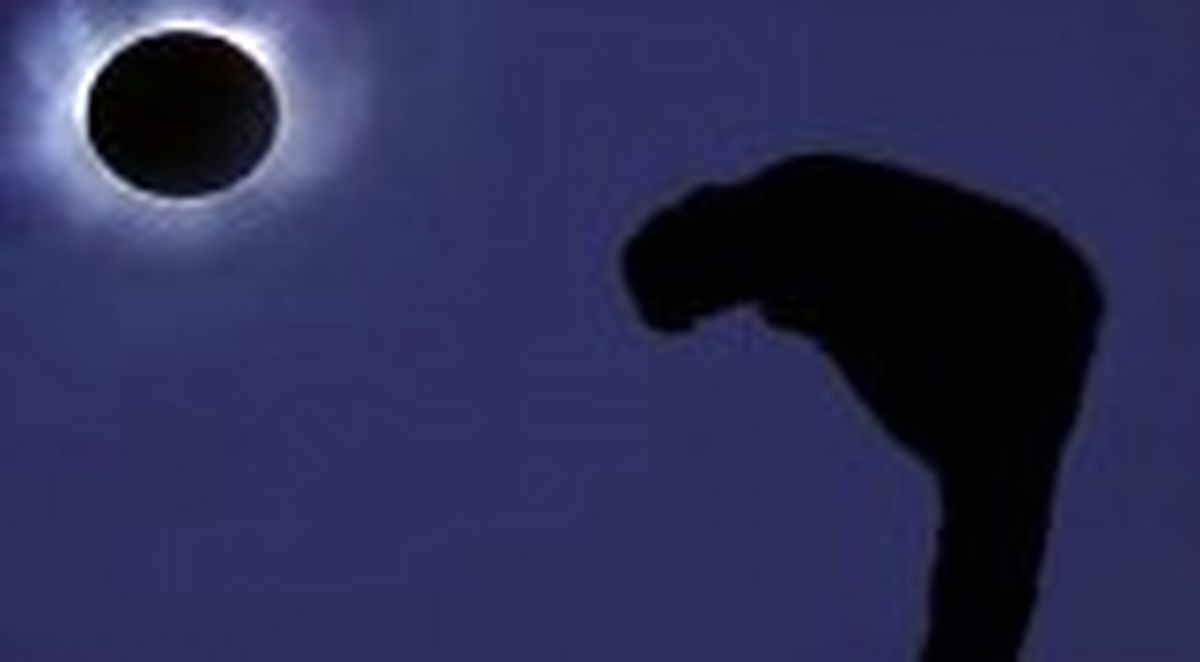 امام سجاد (ع) درباره اهمیت نماز شب چه فرمودند؟