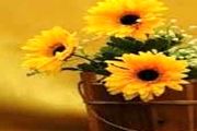 چه وقت خوش اخلاق می شوید؟