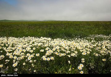 طبیعت